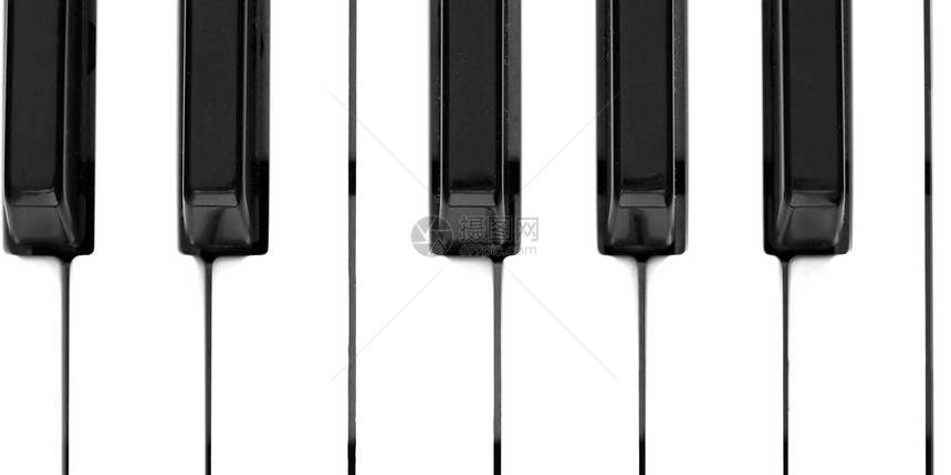键盘钥匙白色迷笛乌木大键象牙黑色音乐电子乐器图片