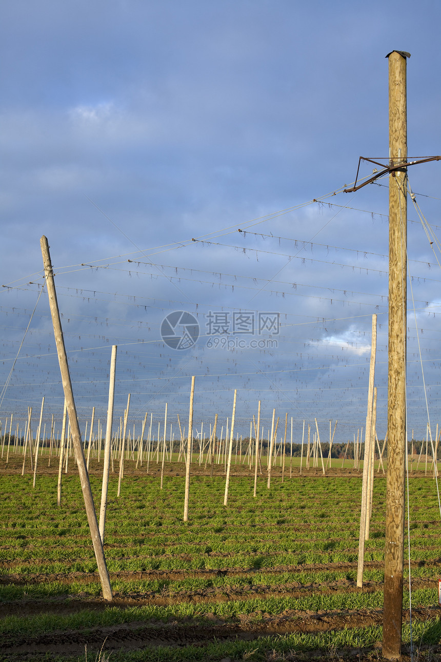 收割之后的跳田残骸天空种植园农村金属收成木头图片