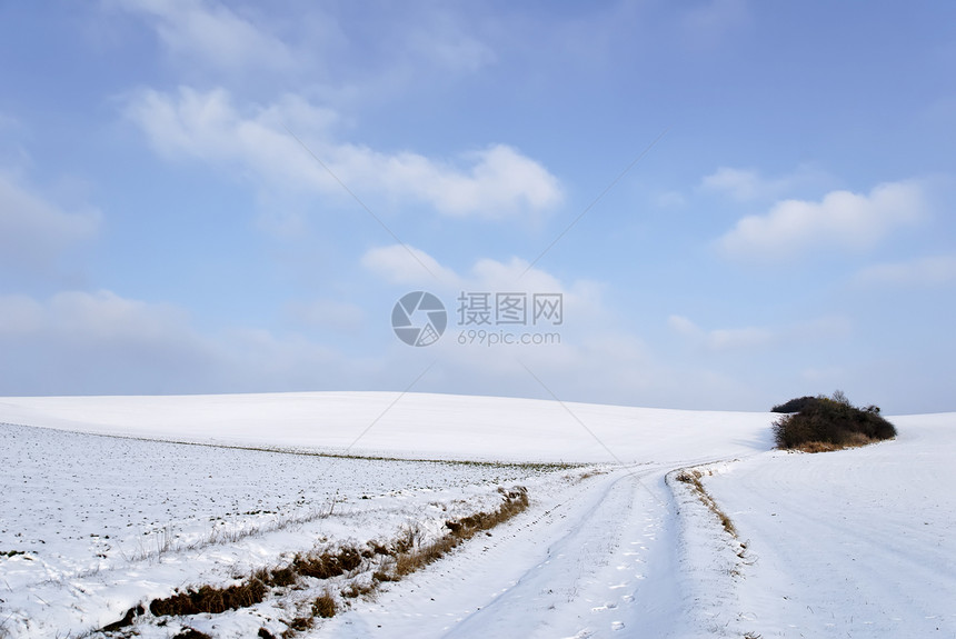 冬季乡村风景车道国家农村白色图片