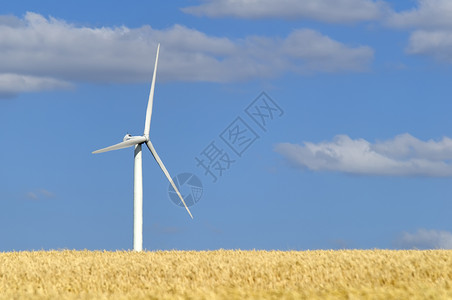 风车风力涡轮机文化农业场地环境能源生态背景图片
