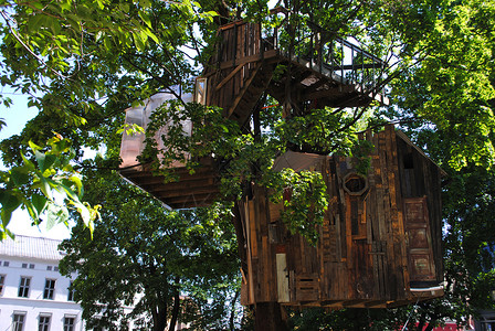 树树屋创造力生态学家生态住房建筑学房子高清图片