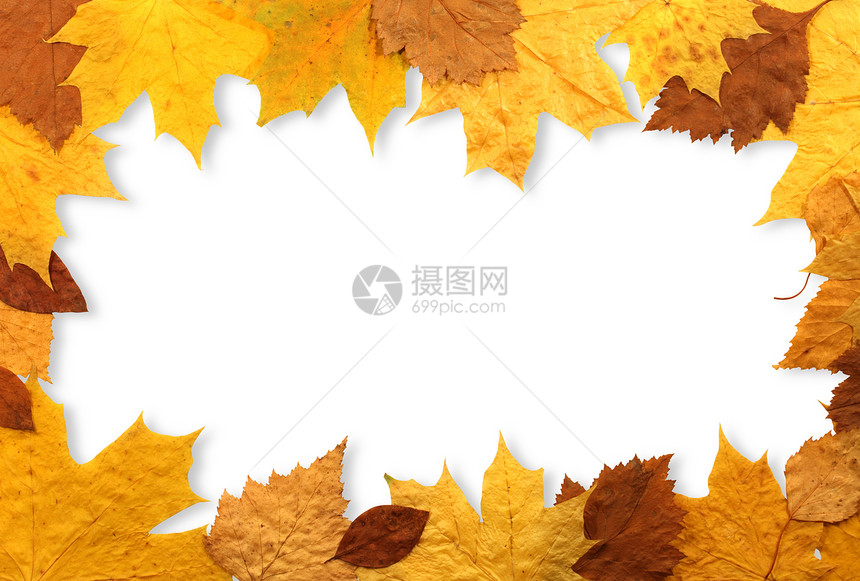 秋季休假框架枫叶橙子红色边界颜色季节图片