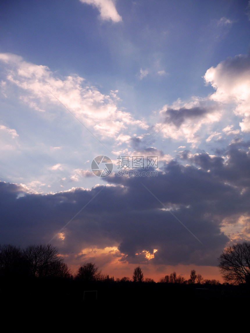 日落天空分支机构气氛地平线剪影蓝色日出树木多云图片