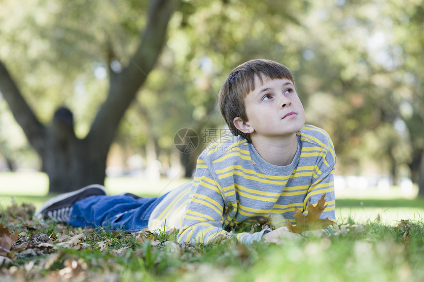 公园里的年轻男孩叶子沉思少年闲暇水平青年童年男生小伙子青少年图片