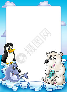 企鹅北极熊冬季动物框架框架背景