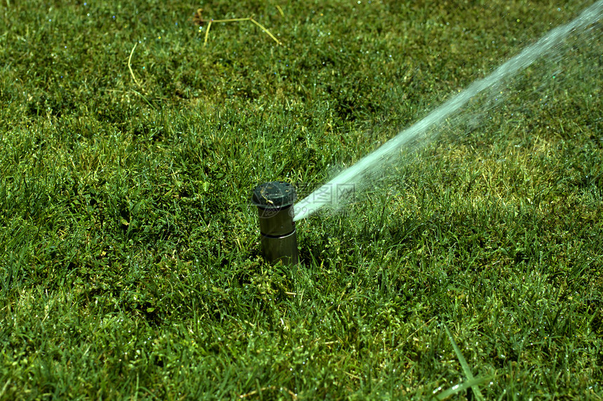 喷洒水绿色洒水器植物塑料灌溉院子水分土地花园生长图片