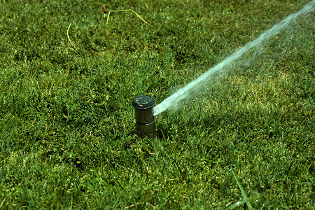 喷洒水绿色洒水器植物塑料灌溉院子水分土地花园生长背景图片
