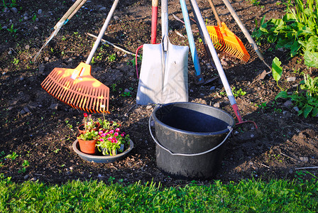 园圃的园圃绿色耙子工作农业工具生态草地洗牌花朵花园背景图片