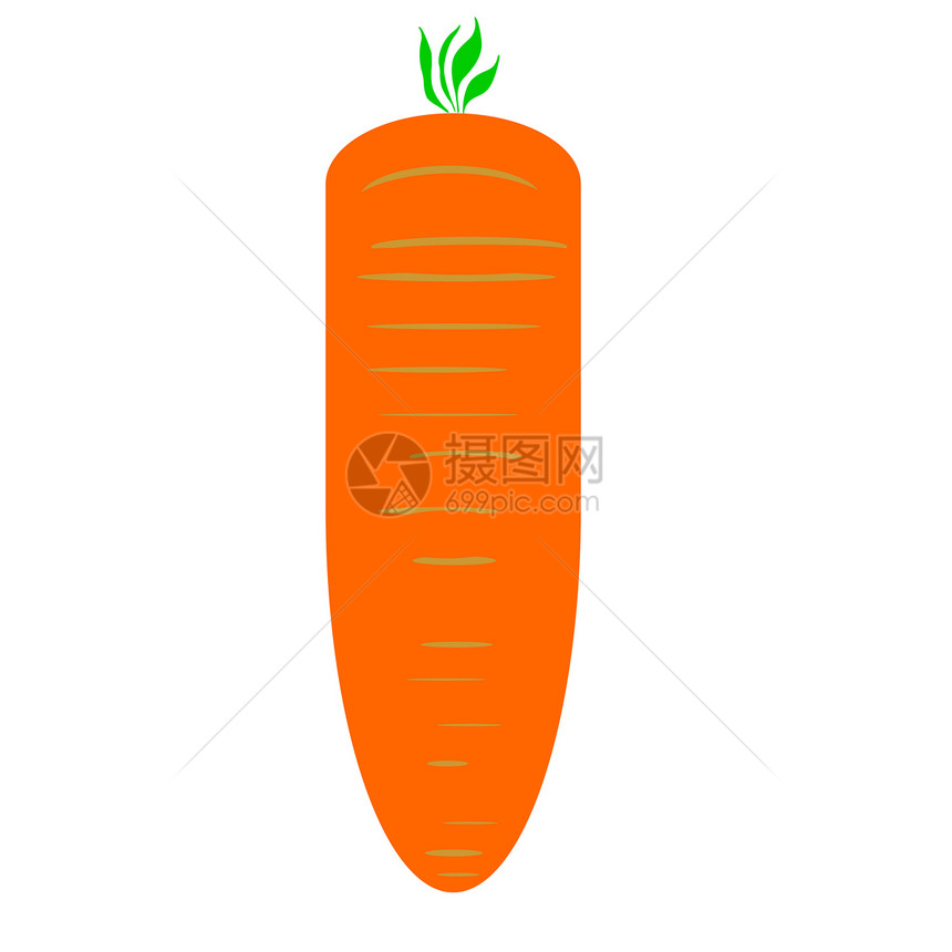 胡萝白色烹饪营养插图食物蔬菜健康美食图片