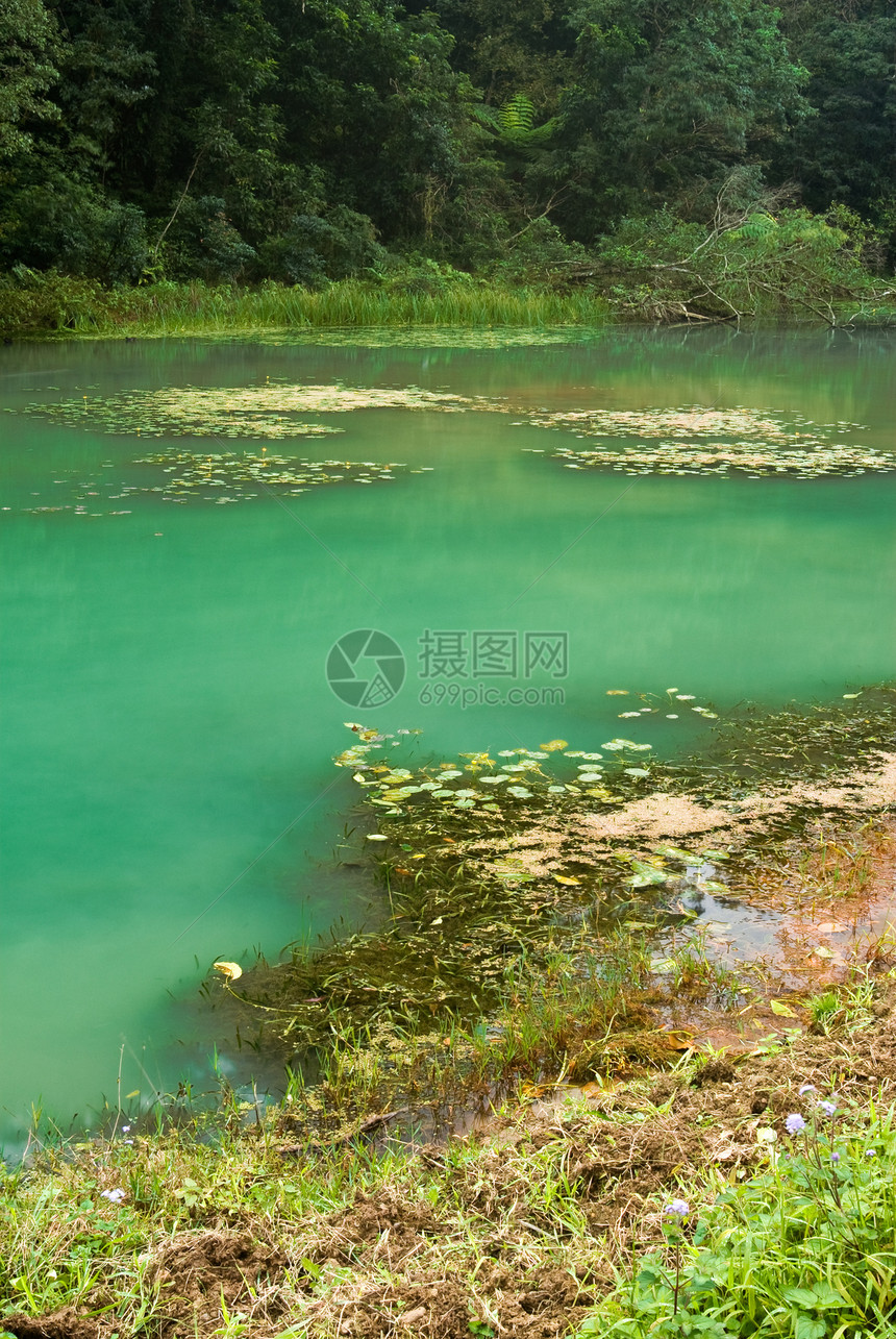 湖太阳森林池塘环境场地风景日落辉光国家场景图片