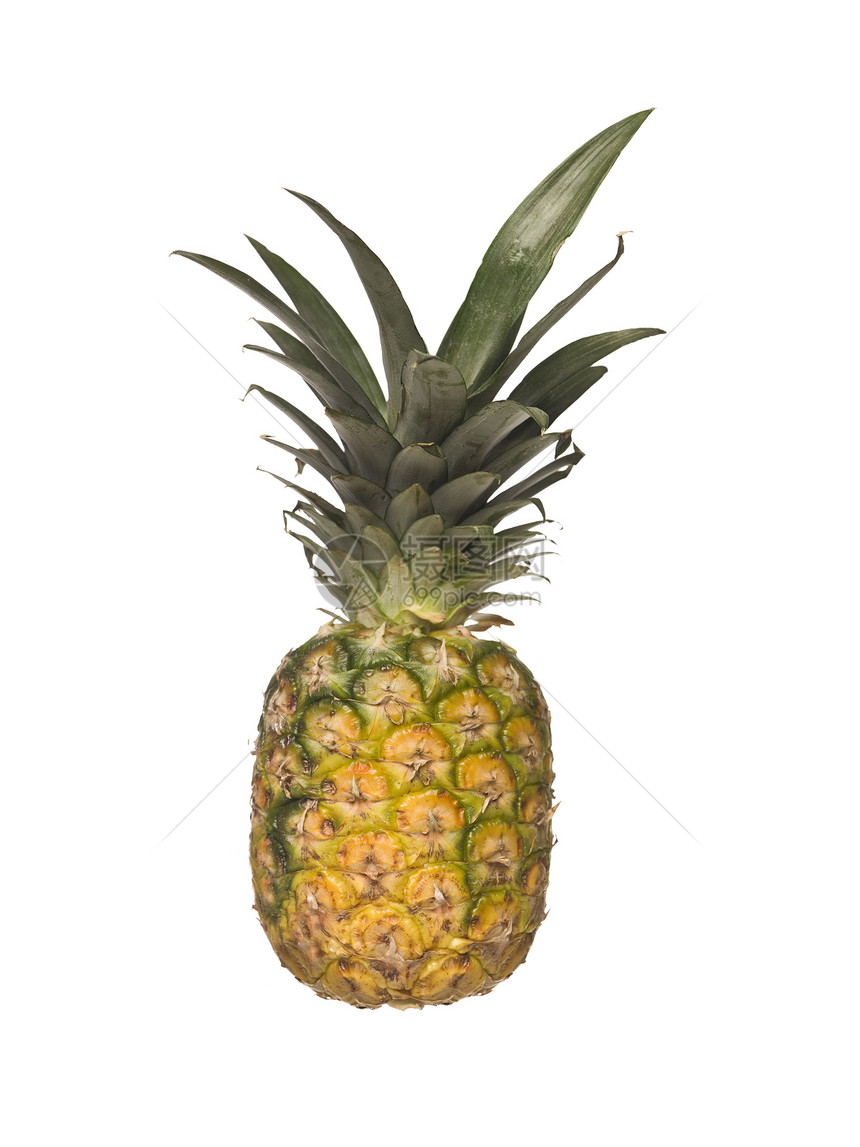 白背景孤立的菠萝热带香味异国食物果味白色情调味道水果黄色图片