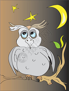 猫头鹰植物群动物群星星插图树叶卡通片月亮背景图片