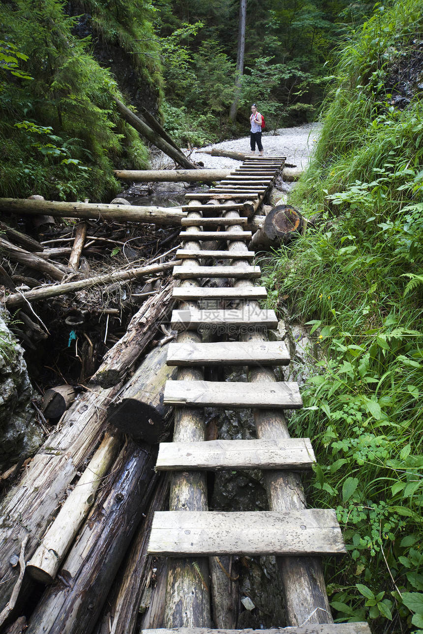 旅游女孩在山林中行走女孩溪流梯子远足女士公园游客路线危险木头图片