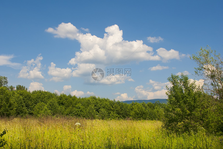 夏季风景 蓝天空 云彩图片