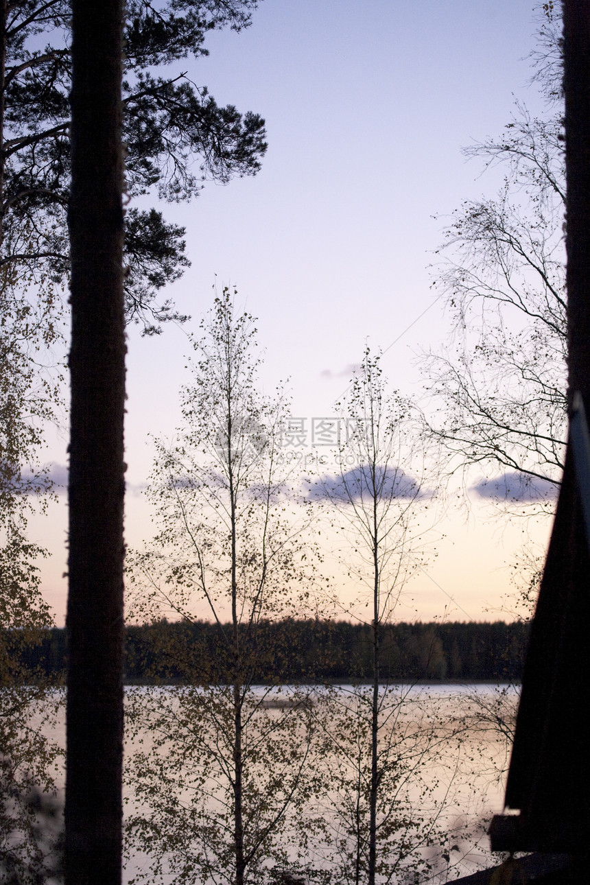 湖地貌日落森林支撑薄雾树木天空阴霾图片