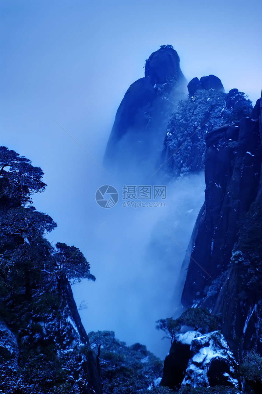 三青山的云雾     在中国江西拍电影垂直松树框架图片