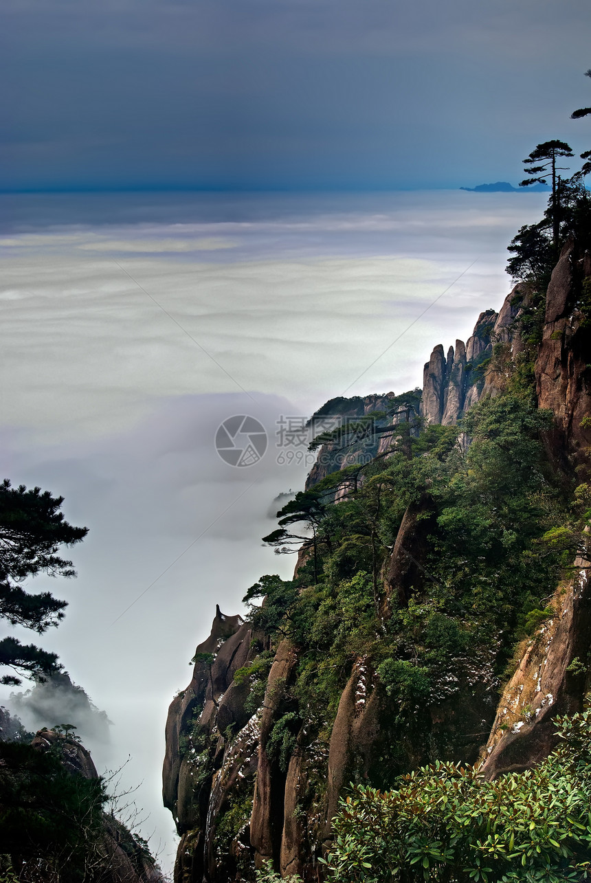 三青山的云雾     在中国江西拍电影松树垂直框架图片