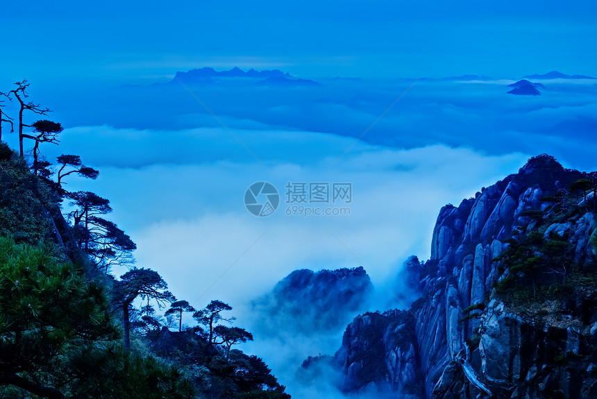 三青山的云雾     在中国江西拍电影框架松树水平图片