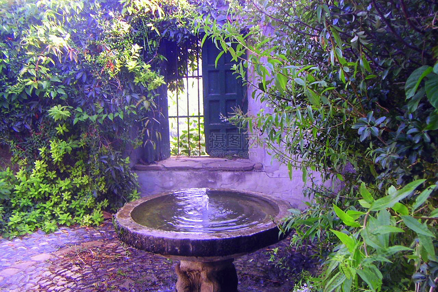 院子里的喷泉图片