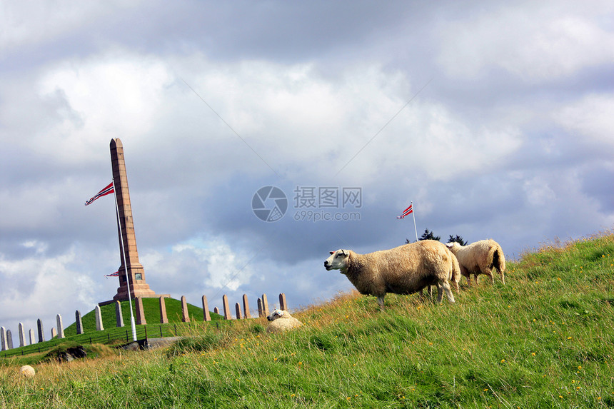 羊草地纪念碑羊肉图片