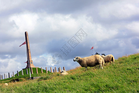 羊草地纪念碑羊肉高清图片