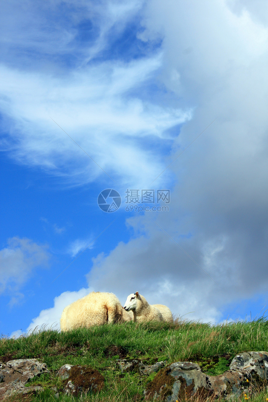 绵绵的山丘和多云的天空动物图片