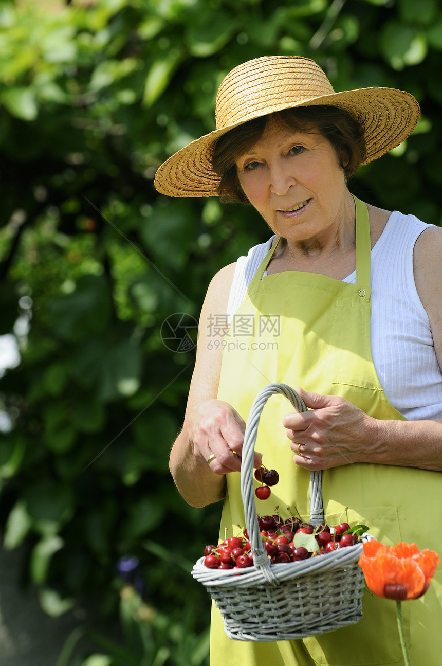 樱桃妇女篮子粉色退休母亲快乐眼镜园艺帽子花园玫瑰图片