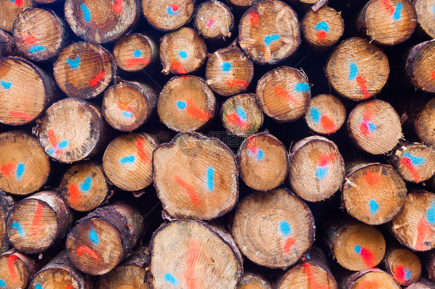 堆叠树干的背景纹理模式棕色木头记录活力点燃燃料森林库存柴堆环境图片