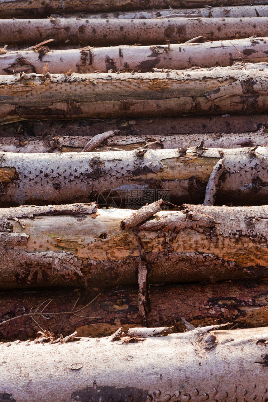 堆叠树干的背景纹理模式柴堆环境森林乡村材料库存点燃棕色活力记录图片