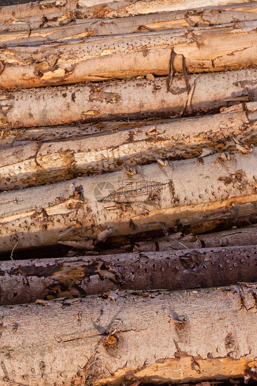 堆叠树干的背景纹理模式燃料环境活力木头林业棕色乡村森林木材材料图片