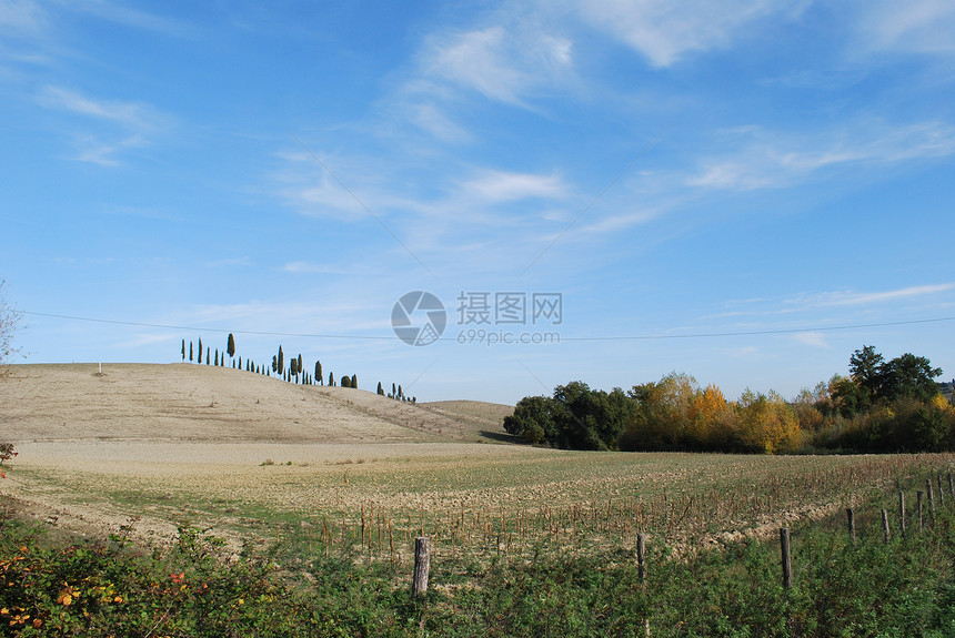 托斯卡纳爬坡环境旅行乡村藤蔓山坡蓝色旅游场地风景图片