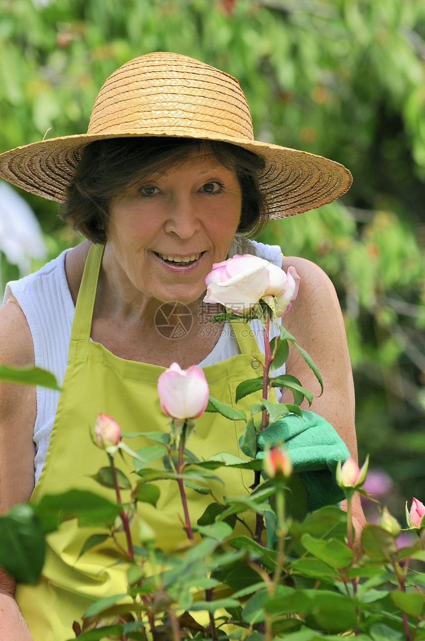 高雅妇女帽子花园园艺眼镜植物草帽女士快乐粉色母亲图片