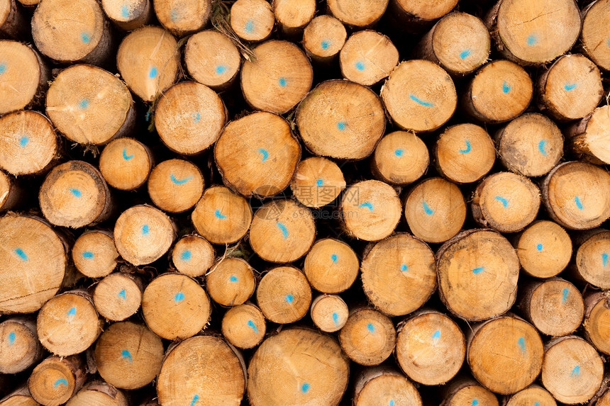 堆叠树干的背景纹理模式点燃木材燃料水平活力森林材料柴堆记录乡村图片