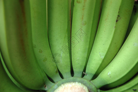 香蕉水果生活方式健康饮食食物绿色背景图片