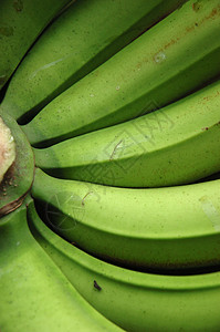 香蕉生活方式绿色食物健康饮食水果背景图片