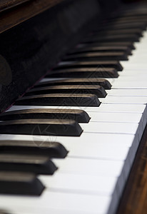 短焦深的钢琴键个性黑色乐器古典音乐宏观白色对象背景图片