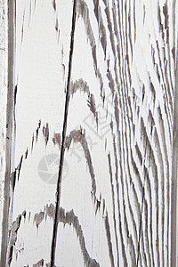 伍恩·泽布拉被划破的墙壁图案背景图片