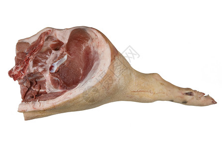 白底肉类食物脂肪骨头静物动物工作室动物性牛肉食品高清图片