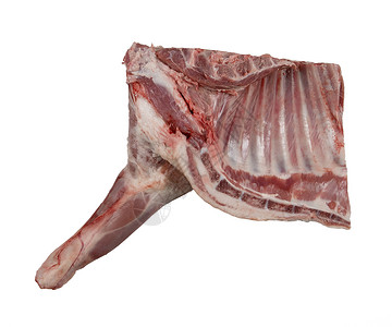 两生动物白底肉类肋骨动物性牛肉脂肪食物食品静物动物工作室骨头背景