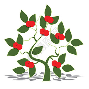 苹果树植物花园红色水果绿色插图床单植物群背景图片