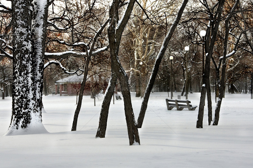 冬季雪地公园图片