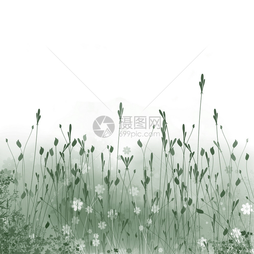 草地装饰品印迹框架空地太阳白色插图图片