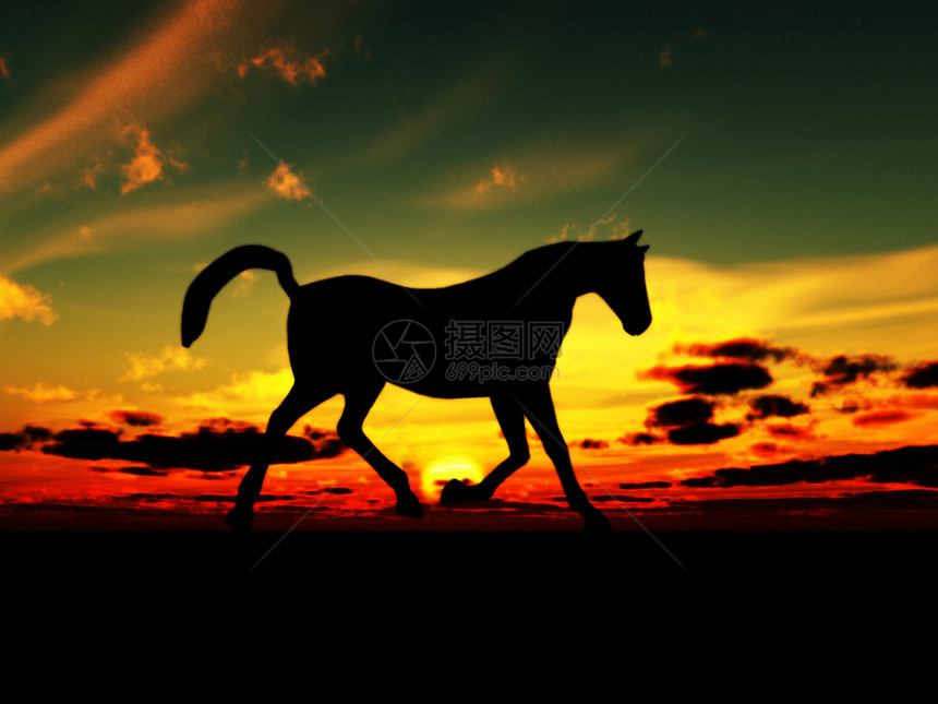 马马的横向风景多云气氛日落黑色身体天空剪影动物野生动物地平线图片