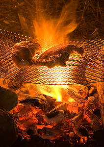 在野外的营火上烧烤背景图片