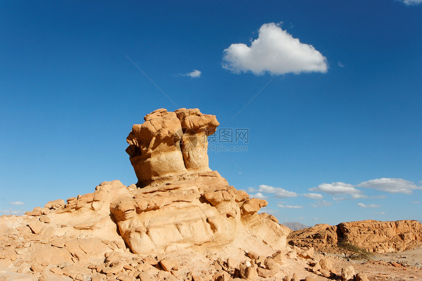 石化沙漠中的蘑菇形状的银橙色岩石图片