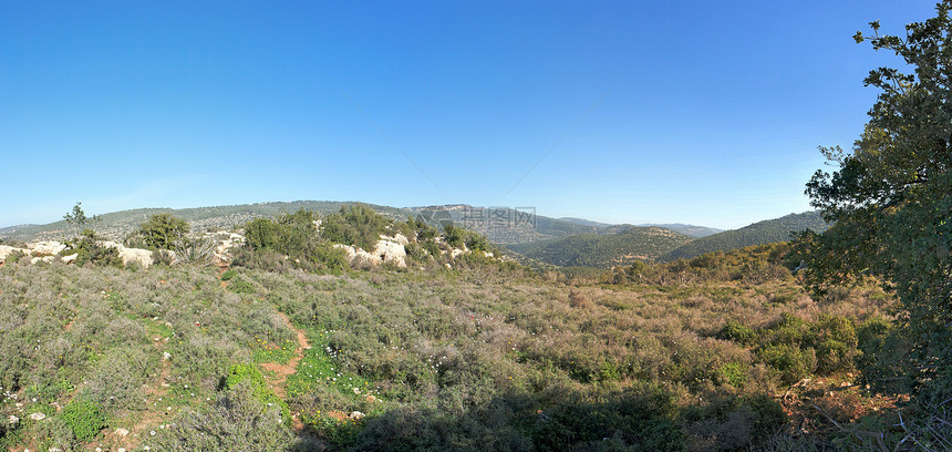 地中海山丘景观风景植被山脉巨石灌木丛石头丘陵树木全景绿色图片