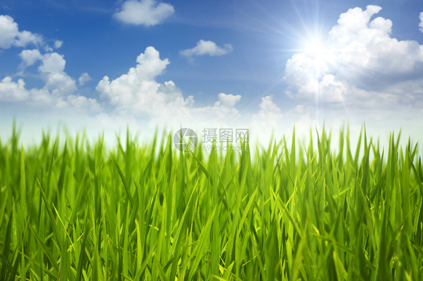 绿草和天空射线光束草皮远景云景天堂阳光土地植物活力图片