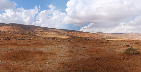 以色列内盖夫沙漠边缘希伯伦山南坡景观橙子森林条纹植被石头山脉灌木丛全景巨石丘陵背景