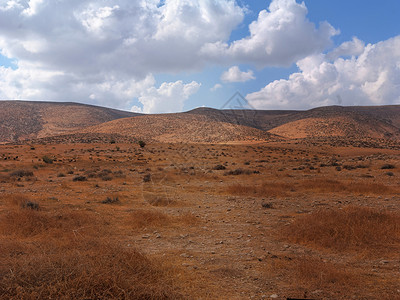 以色列内盖夫沙漠边缘希伯伦山南坡景观全景巨石植被橙子丘陵沙漠灌木丛内盖夫石头森林背景
