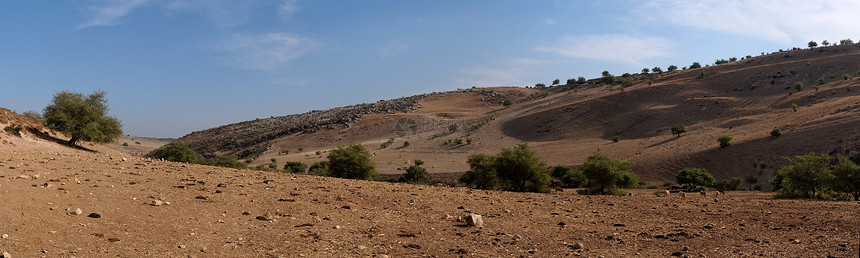 地中海沙漠景观和牛牛群黄色岩石树木白色天空石头橙子灌木丛蓝色丘陵图片